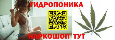 амф Усть-Джегута