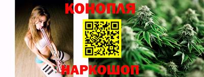 шишки Усть-Илимск